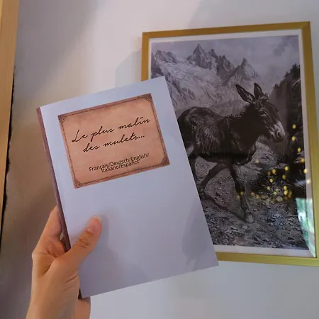 Διαμέρισμα A Theme, 2 Chambres, Vue Sur Les Montagnes *