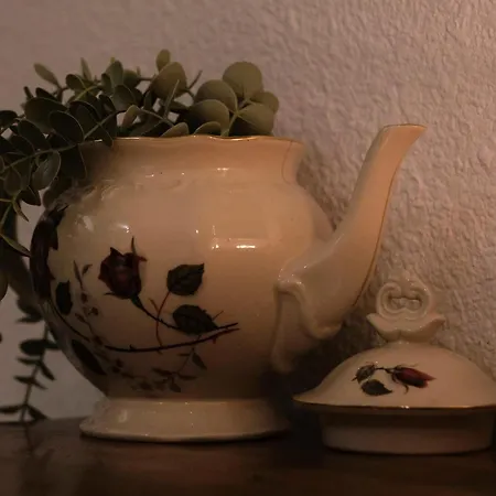 A Theme, 2 Chambres, Vue Sur Les Montagnes Apartment Chalais